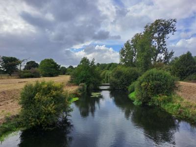 Laleham, Surrey