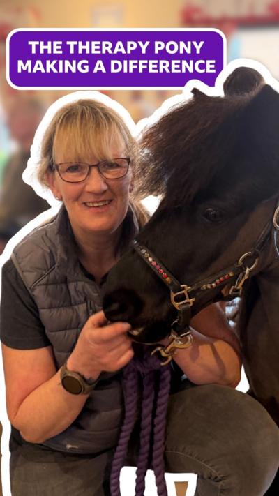 The therapy pony making a difference