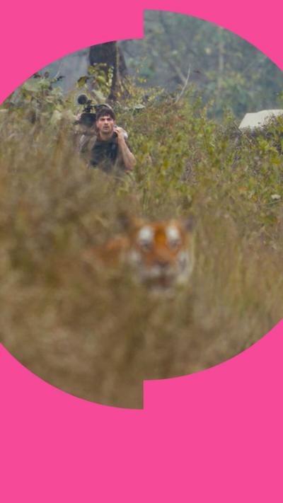 A man looks through long grass towards a tiger blurred in the foreground