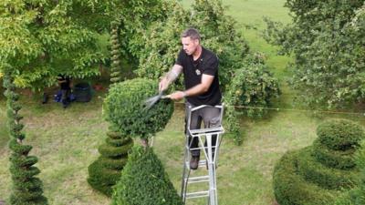 Andy can be seen on a ladder trimming the top of a tree 