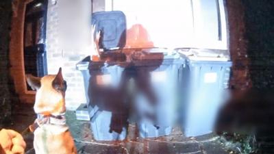 Police dog watching man emerge from wheelie bin