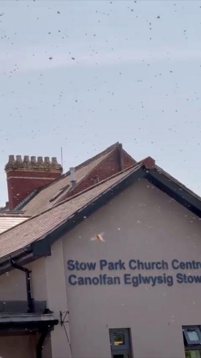 Thousands of bees swarming outside a church centre building with a sloped roof