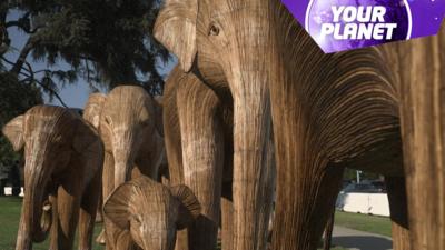 Elephant sculptures