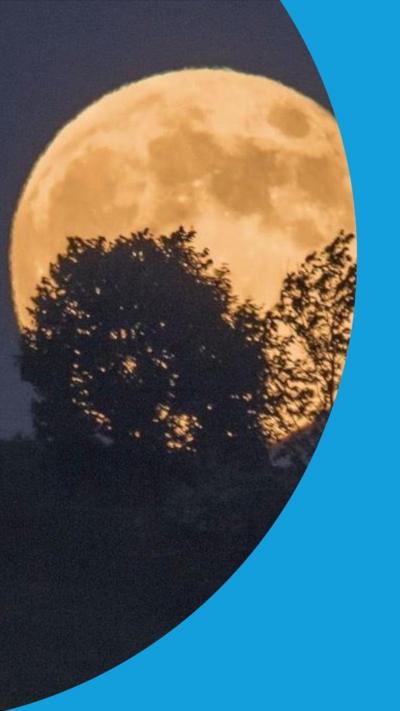 A full moon rises behind some silhouetted trees.