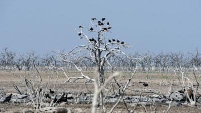 Drought in Chaco region caused by river