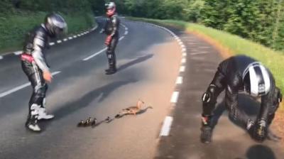 Bikers help ducks