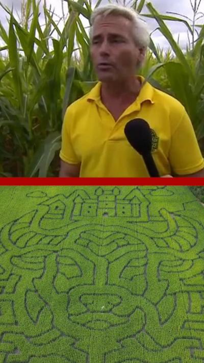 Farmer standing in yellow top near Maize above an aerial image of his maze.
