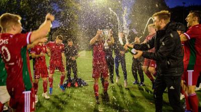 Wales celebrate