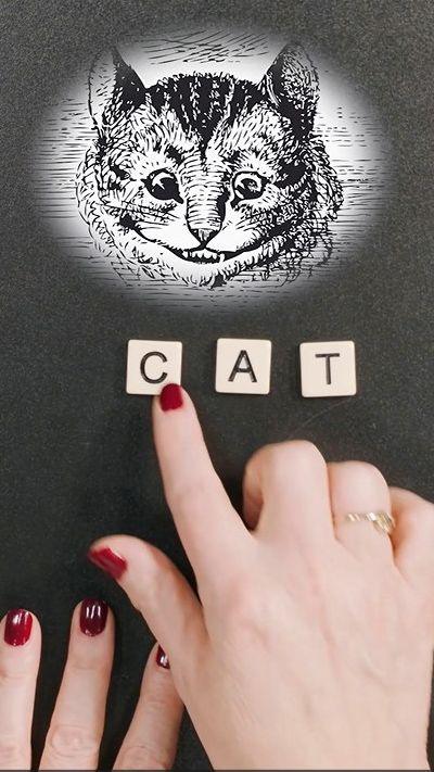 Image of a cat with the letter CAT underneath