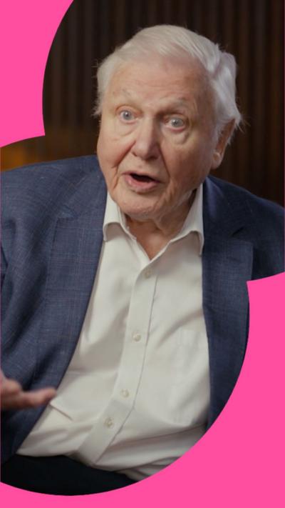 David Attenborough is wearing a white shirt and a blue blazer
