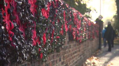 Knitted poppies