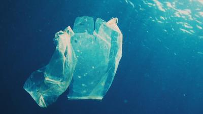 Plastic bag floating in the ocean