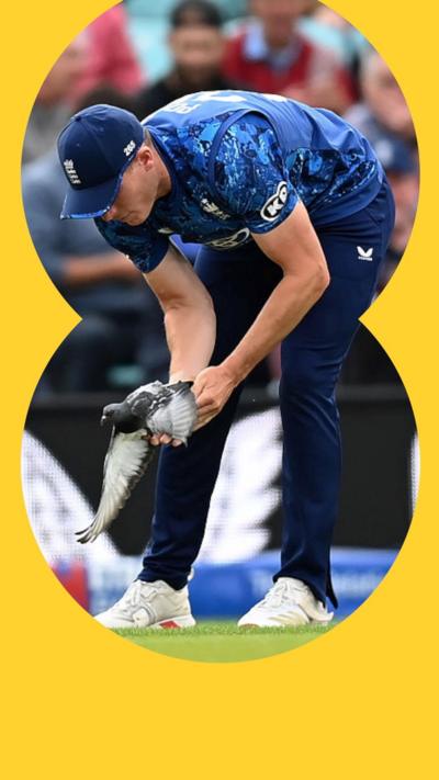 Matthew Potts of England picks up a pigeon on the cricket pitch