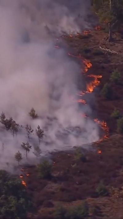 Burning heathland with smoke rising