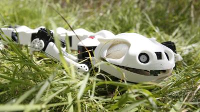 Robot salamander in the grass