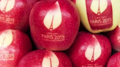 Apples branded for the COP21 meeting in Paris