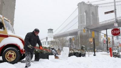 Snow in Brooklyn