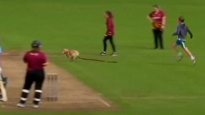 Bready v CSNI in All-Ireland Women's T20