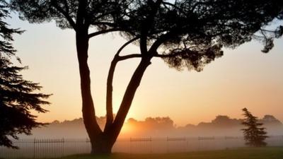 Foggy sunrise in Surrey