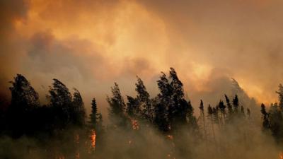 Wildfires in Willow in Alaska