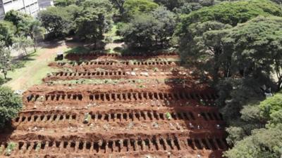 Row of freshly dug graves