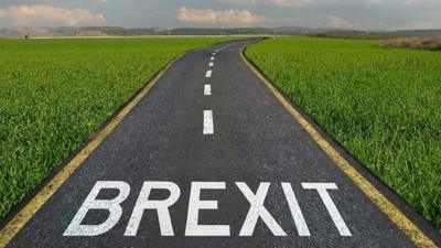 A graphic showing Brexit painted on a road