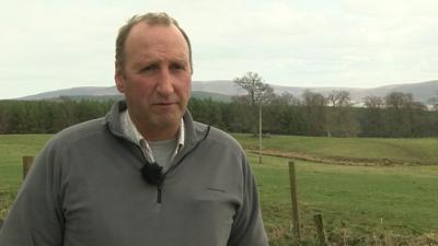 Raibeart Dòmhnallach