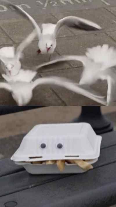 Seagulls landing near a tray of chips.