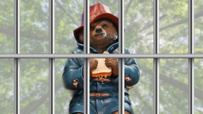 Paddington bear behind bars