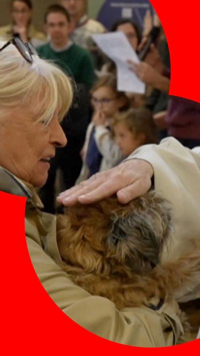 A priest holds his hand on a dog's head as he performs a blessing