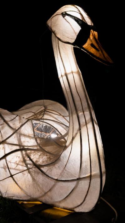 An illuminated swan lantern on a black canal at night