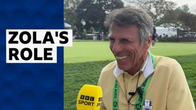 Gianfranco Zola