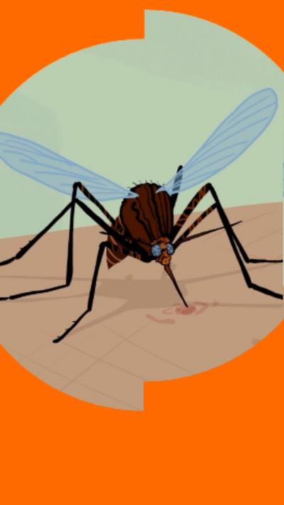 Illustration of a mosquito biting a human