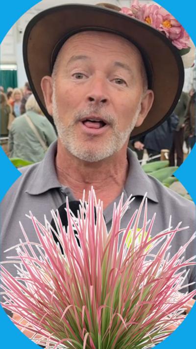 A man with a short, grey beard wearing a hat and a grey poloshirt talks to the camera