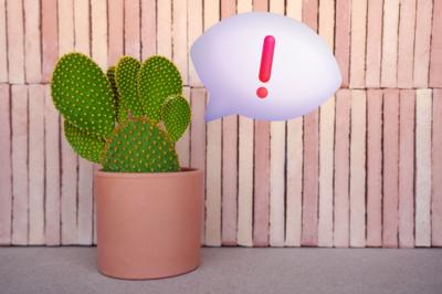 A potted cactus against a pink tiled wall emits an emoji speech bubble containing an excalamation mark