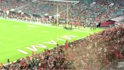 Falling cat during football match