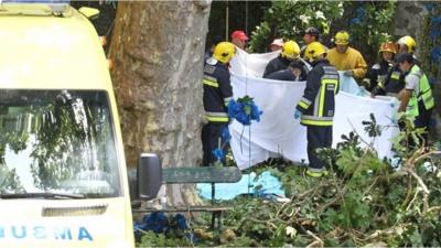 Emergency services at Madeira tree deaths