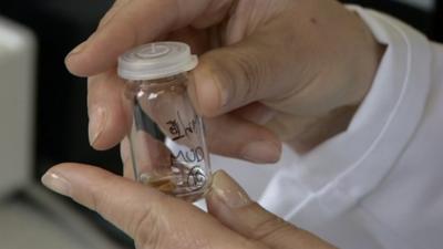 A scientist handles a sample at the University of Birmingham