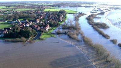 Flooded fields