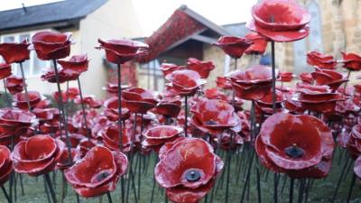 Ceramic poppies