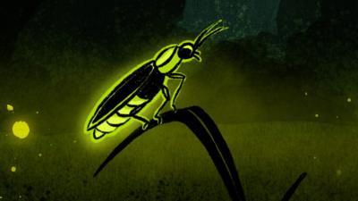 Illustration of a firefly