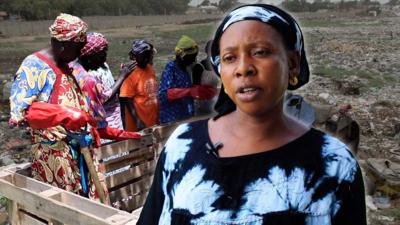 Gambian women working at the farm