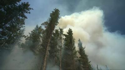 Large fire above trees