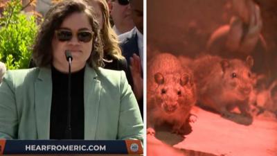 Kathleen Corradi and rats in New York City.