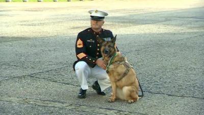 Lucca, with her owner Gunnery Sergeant Chris Willingham