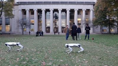 The Massachusetts Institute of Technology's nine four-legged robots