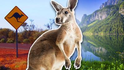 A kangaroo stares at the Australian outback next to a scene of mountains and water