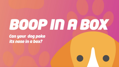 Dog-graphic.
