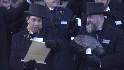 Punxsutawney Phil