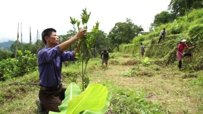 Farmers in Sikkim